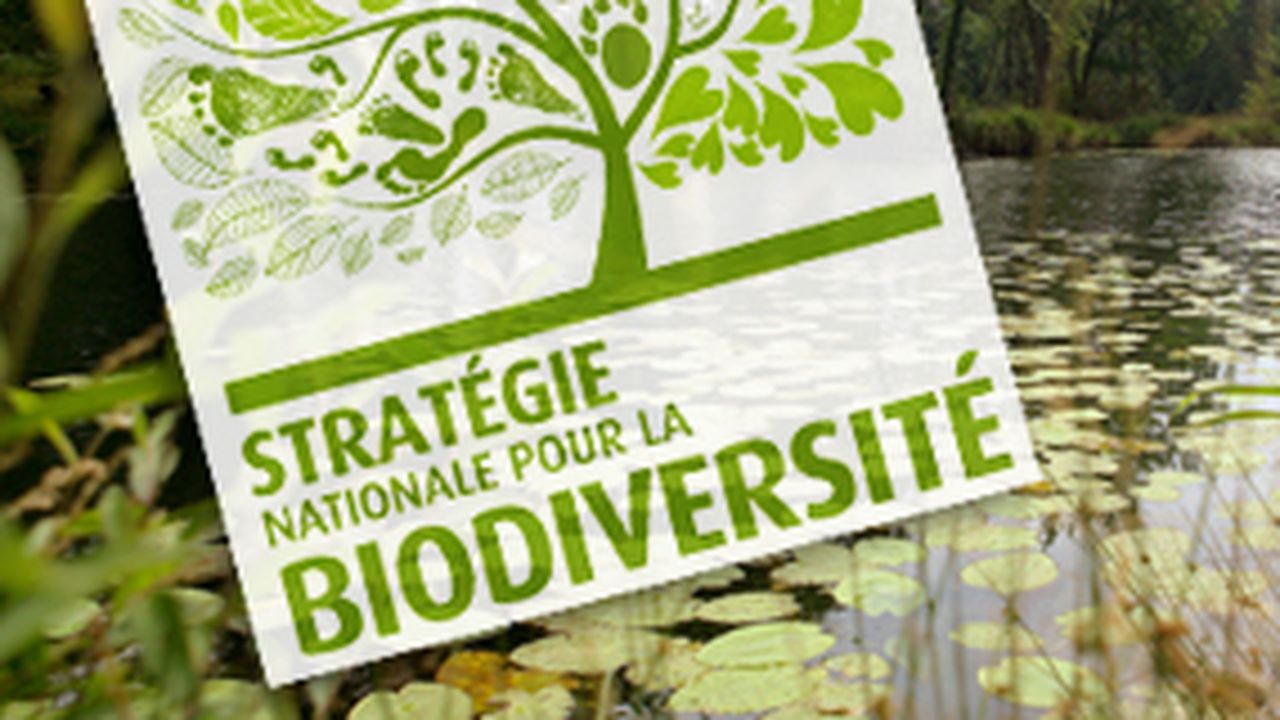 Des formations à la biodiversité dans les CCI