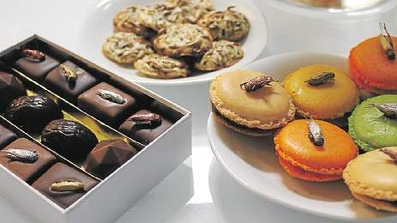 Les chocolats et macarons aux insectes commercialisés par Micronutris.