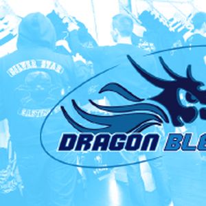 Success Story : Dragon Bleu, le pari fou du business "free fight"