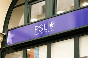 L'université Paris Dauphine-PSL propose entre autres un master Développement durable et responsabilité des organisations.