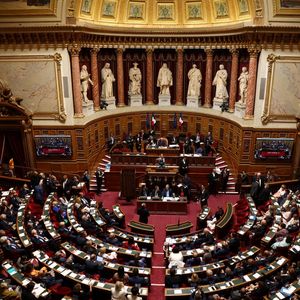 Les sénateurs ont adopté, à 221 voix contre 82, une proposition de loi de la droite visant à « protéger » le français « des dérives de l'écriture dite inclusive ».