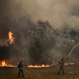 Le 22 août 2023, près d'Athènes, les pompiers luttent contre un incendie ravageur.