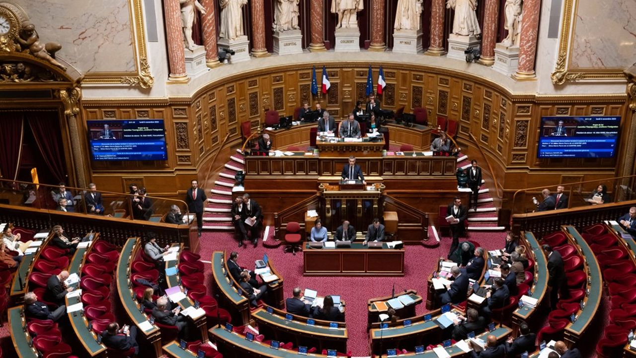 Un « compromis » a été confirmé par le président du groupe centriste Hervé Marseille prévoit la suppression de l'article 3 de la loi immigration.