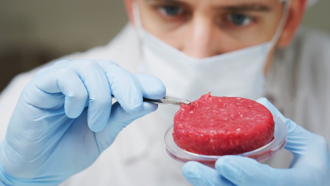 L'Italie interdit la viande de synthèse, cette « nourriture Frankenstein »