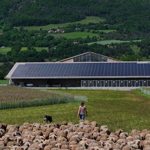 Avec 300 agriculteurs équipés (ici dans les Hautes-Alpes) et 150 en projet, l'agrivoltaïsme est la spécialité de Terre et Lac.