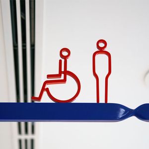 WEB-handicap inclusion.jpg