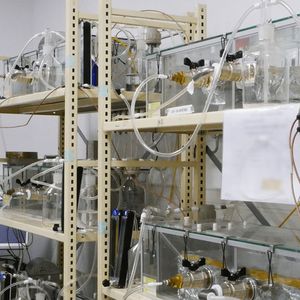 A Cergy, une quarantaine de salariés sont spécialisés dans les essais en laboratoire du groupe mondial d'inspection