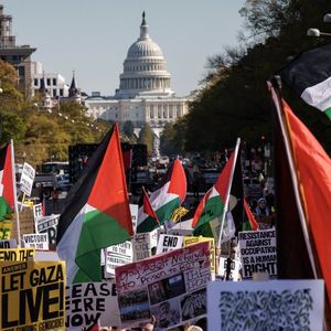 A Washington, le 4 novembre dernier, des milliers de manifestants demandaient un cessez-le-feu à Gaza.