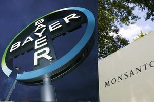 Moins écornée que Monsanto, la réputation de Bayer fera sans doute l’objet de toutes les attentions si la fusion entre les deux groupes est validée.