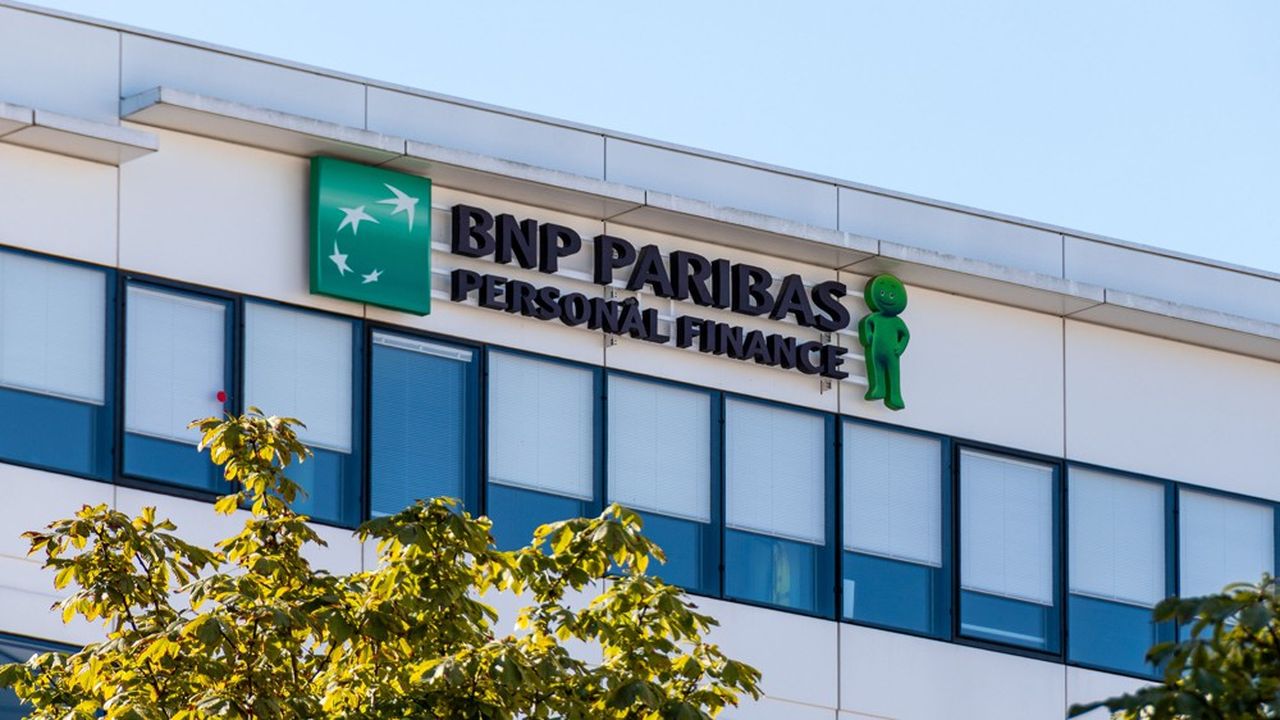 Cela fait douze ans que les clients de BNP Paribas qui ont contracté ces emprunts libellés en francs suisses et remboursables en euros bataillent en espérant pouvoir rentrer dans une partie de leurs fonds.