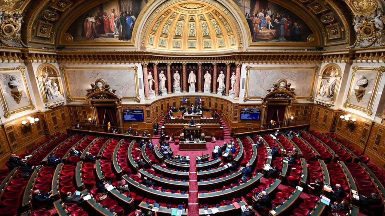 Le projet de loi de Finances pour 2024 va revenir à l'Assemblée nationale avec un amendement voté au Sénat visant à faciliter l'octroi des demandes de décharge de solidarité fiscale.
