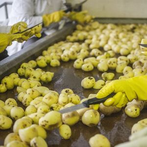 Cité Gourmande, qui pèse 4 % du marché de la pomme de terre surgelée en France, a déjà presque quadruplé son chiffre d'affaires depuis 2014.