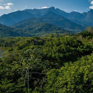 «C'est la logique que met en avant le Brésil en proposant la création d'un fonds alimenté en fonction de la surface des forêts, considérée comme du carbone sur pieds.»