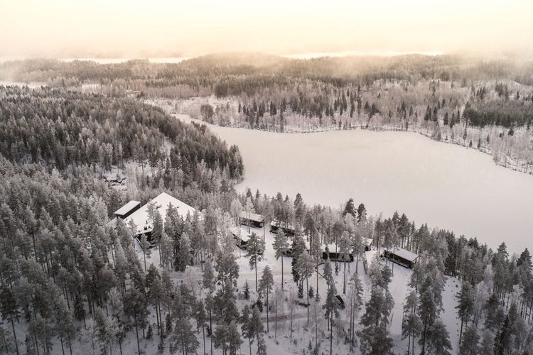 Le lac Saimaa, le plus grand de Finlande, bordé de forêt. 
