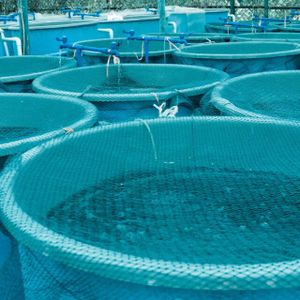 traitement-eau-aquaculture-640x640.jpeg