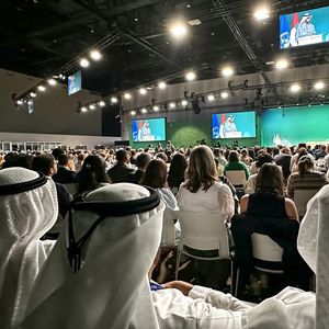 Cinq minutes à peine après l'ouverture de la plénière finale de la COP28, son président Sultan al Jaber a annoncé que le texte principal de la 28e conférence de l'ONU pour le climat était adopté.