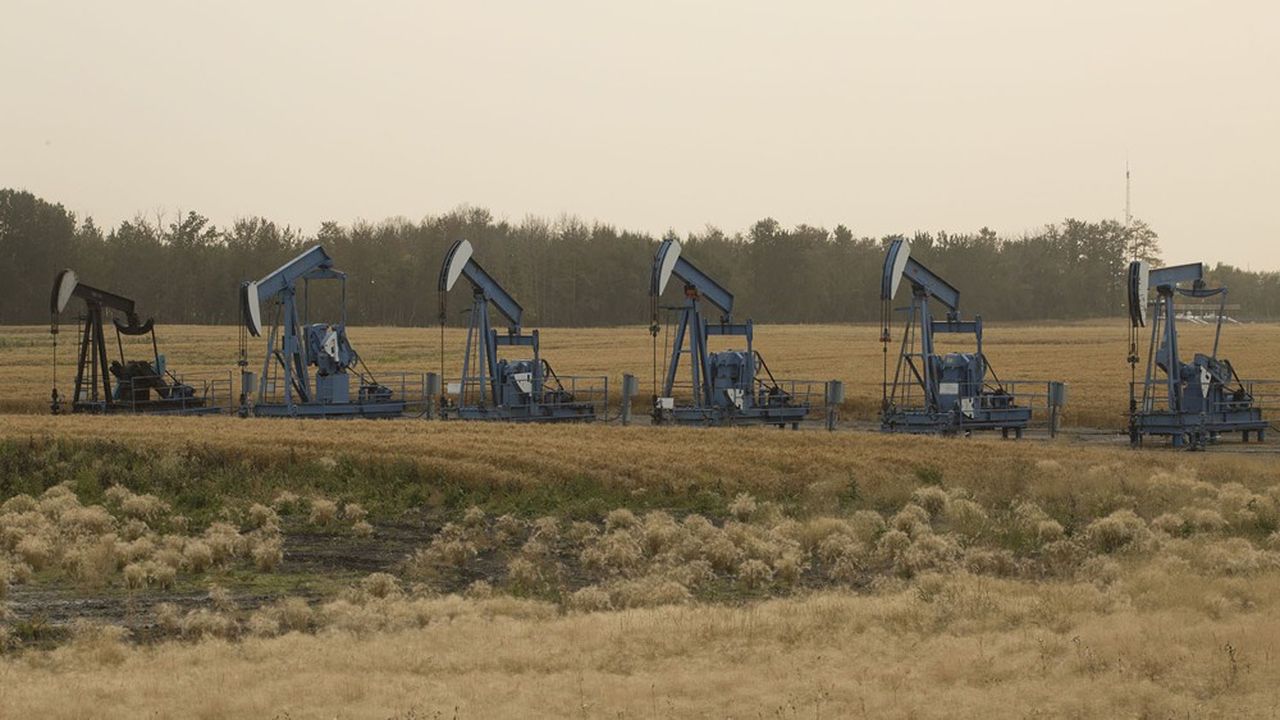 Des puits de pétrole dans la province de l'Alberta, au Canada.