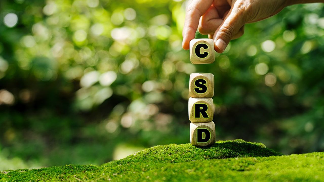 La CSRD est considérée par Bruxelles comme une étape importante dans la construction du Pacte vert européen.