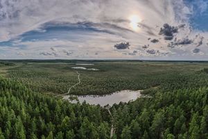 Des forêts, comme le parc naturel de Meenikunno en Estonie, vont être restaurées dans le cadre du Pacte vert européen.