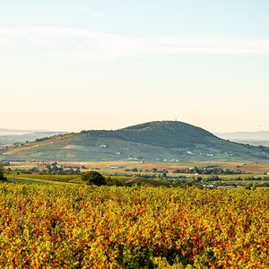 Le vignoble de brouilly, au sud-est du Beaujolais.