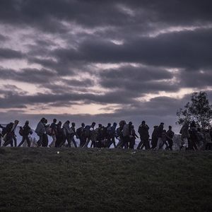 Migrants interpellés à la frontière slovène, en 2015. En Slovénie, l'afflux de migrants illégaux, principalement des Afghans, Marocains et Pakistanais, a bondi de 80 % l'an dernier.