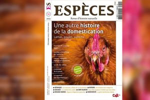 « Une autre histoire de la domestication », « Espèces », no 50, décembre 2023-février 2024.