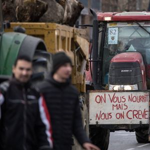 Les agriculteurs menacent de multiplier les actions avant le Salon de l'Agriculture.