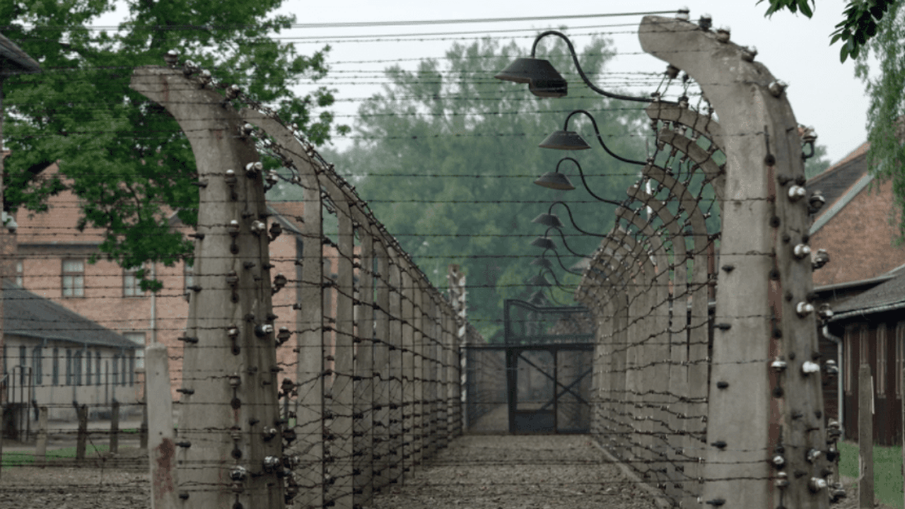 HIA_902_Les_traces_Auschwitz-min.PNG