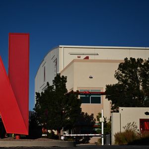 Netflix a réalisé 8,8 milliards de dollars de chiffre d'affaires pendant la saison des fêtes