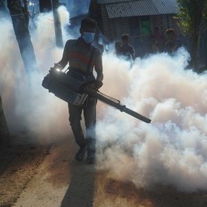 Les pluies exceptionnelles, les fortes températures et l'humidité ont fait exploser la population de moustiques au Bangladesh. Près de 70.000 cas de dengue ont été enregistrés dans le pays depuis le début de l'année.