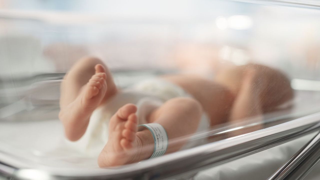 Les naissances ont baissé de près de 7 % en 2023 par rapport à l'année précédente.