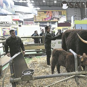 Le Salon de l'agriculture est d'abord une grande vitrine à destination des citadins.