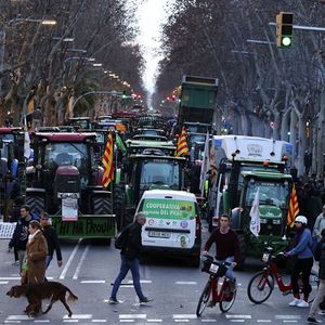 Après avoir fait défiler les tracteurs dans Barcelone ces derniers jours, les agriculteurs vont manifester à Madrid ce samedi.