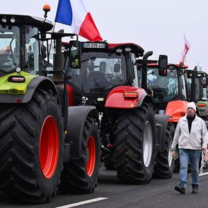 « Les prix agricoles en France dépendent de marchés mondiaux ou au moins européens. Par nature, ils sont instables, subissant les aléas climatiques, géopolitiques, monétaires propres aux marchés des matières premières », souligne Philippe Chalmin.