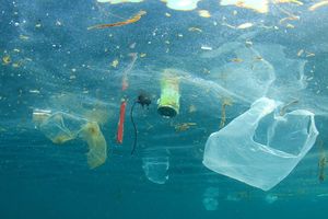 Anne-Leïla Meistertzheim, fondatrice de Plastic@Sea, veut réduire la pollution plastique dans l'océan.