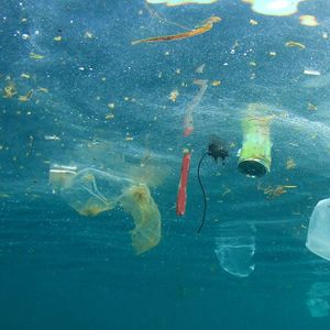 Anne-Leïla Meistertzheim, fondatrice de Plastic@Sea, veut réduire la pollution plastique dans l'océan.