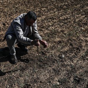 Il n'est tombé, depuis le début de la saison agricole, que 77 millimètres de pluie au Maroc, soit 54 % de moins que la moyenne des 40 dernières années.
