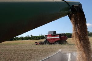 Les exportations de céréales ukrainiennes vers l'Union ont provoqué la colère des agriculteurs européens.