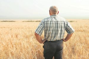 Les retraites des agriculteurs sont inférieures en moyenne à celles des autres Français.