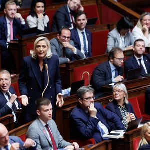 Marine Le Pen et le groupe RN à l'Assemblée.