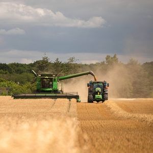 En 2023, l'assurance des récoltes couvrait 23 % des parcelles françaises, contre 17 % en 2022.