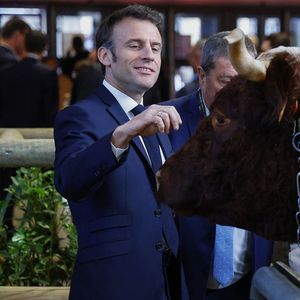 Emmanuel Macron va débattre samedi au Salon de l'agriculture avec des agriculteurs, des industriels, des distributeurs ou encore des ONG dans le but de calmer le jeu (photo d'archives : en février 2023).
