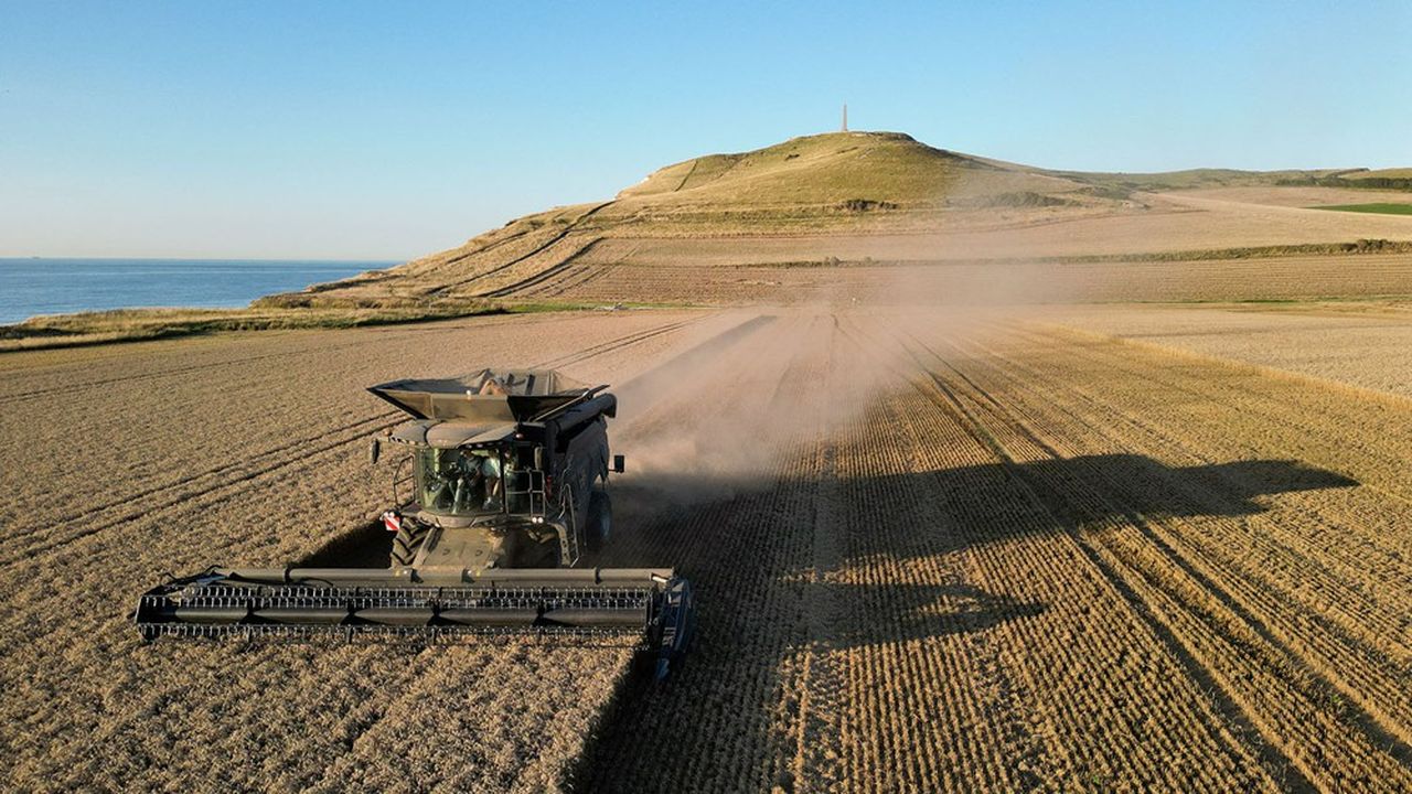 Le blé appartient aux filières dans lesquelles la France produit plus que sa consommation.