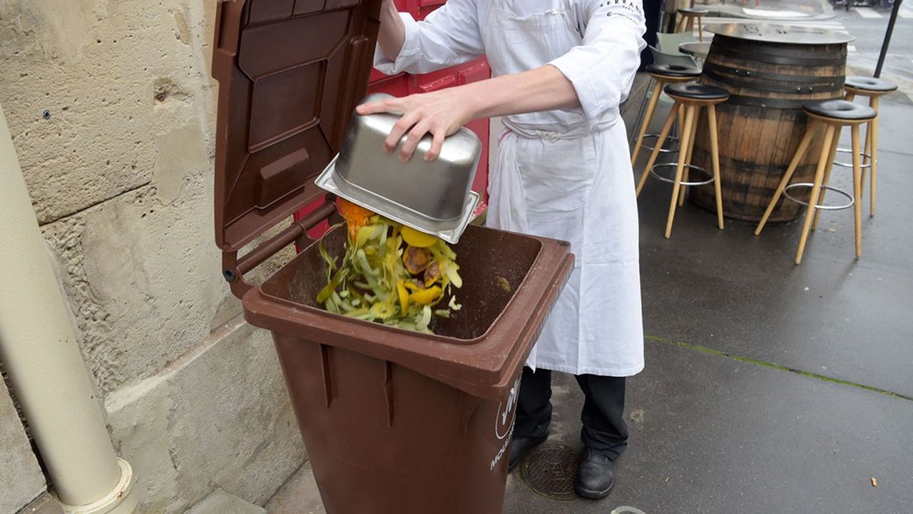 Depuis le 1er janvier 2024, les collectivités doivent mettre à disposition de chaque habitant une solution de collecte ou de compostage des déchets organiques.