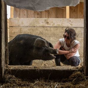 En 2018, Noémie Calais lance son activité agricole dans une ferme collective du Gers. Elle y élève des porcs noirs, originaire de la région.