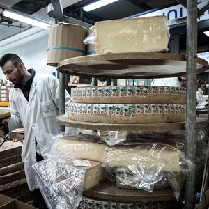 Un nouveau pavillon dédié aux fromages et aux produits laitiers va voir le jour sur le marché de Rungis (Val-de-Marne) d'ici à la fin de l'année.