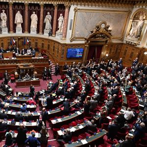 Le mois dernier, le Sénat a validé le projet de loi visant à inscrire la « liberté » d'avorter dans la Constitution française.