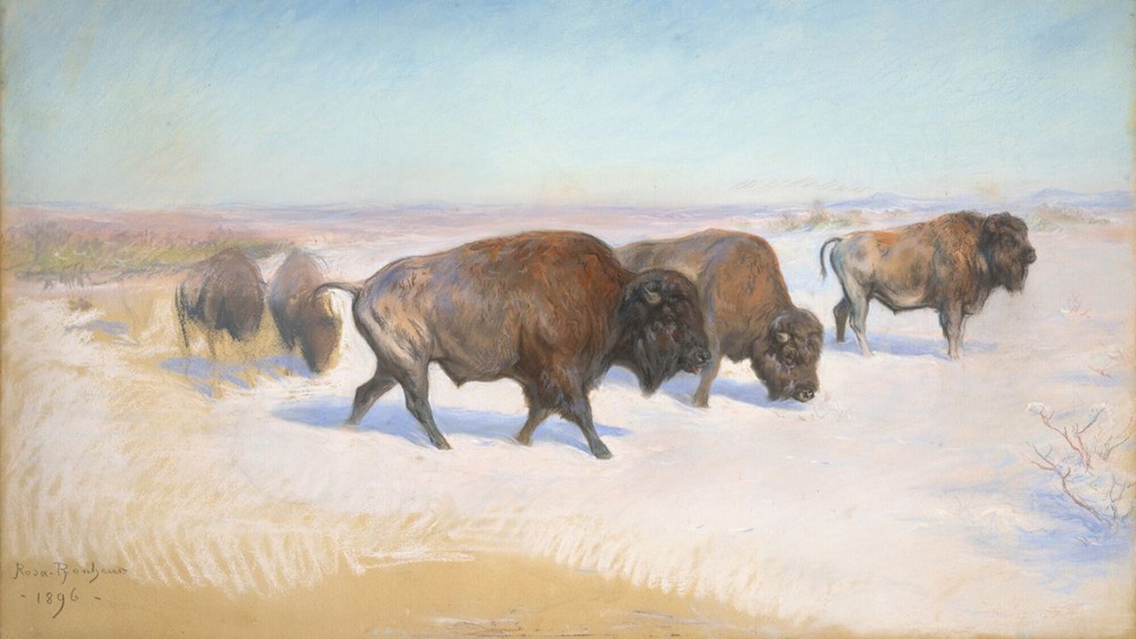 « Etude pour l'émigration des bisons », pastel de Rosa Bonheur, estimé entre 100.000 et 150.000 euros.