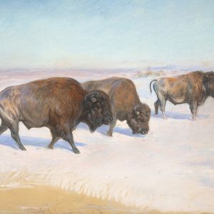 « Etude pour l'émigration des bisons », pastel de Rosa Bonheur, estimé entre 100.000 et 150.000 euros.