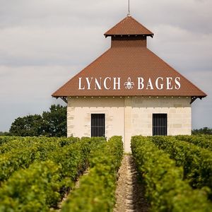 Dans le vignoble du château Lynch-Bages, à Pauillac, fondé au XVIIIe siècle par un fils d'immigré irlandais.